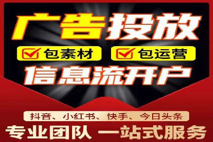 SEM优化策略：案例解读成功之道